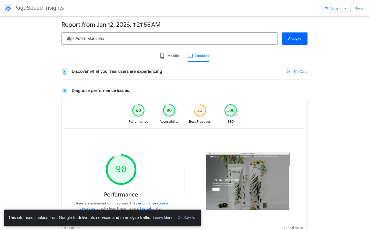 Dermaka PageSpeed Score