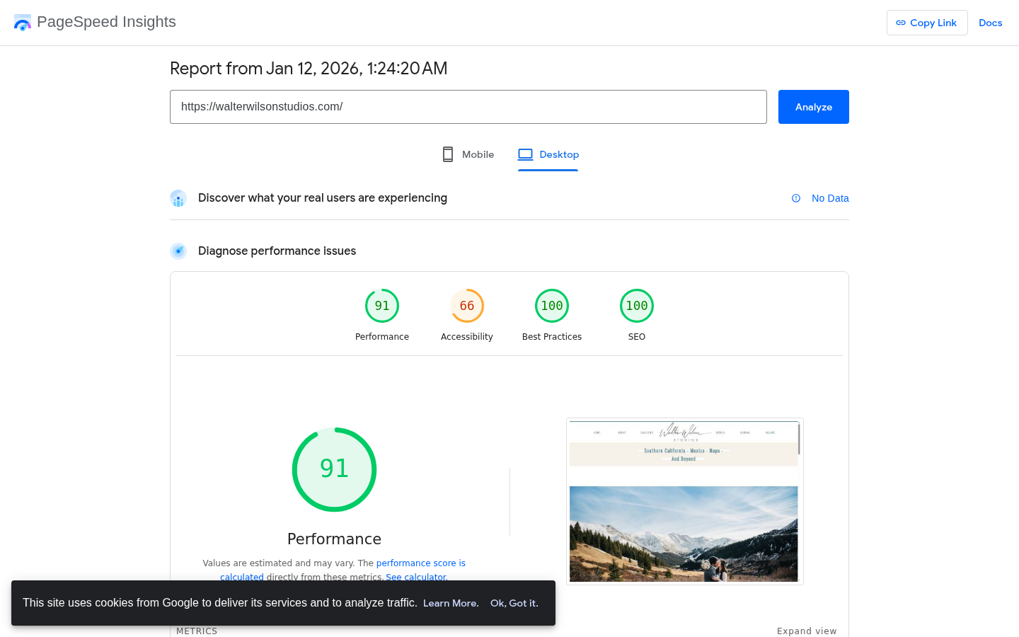 Walter Wilson Studios PageSpeed Score
